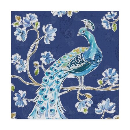 Trademark Fine Art Daphne Brissonnet 'Peacock Allegory IV Blue' Canvas Art, 14x14 WAP03862-C1414GG
